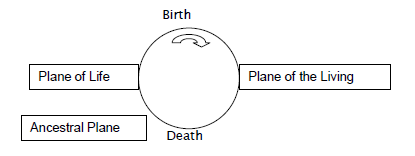 AoC Cycle of Life